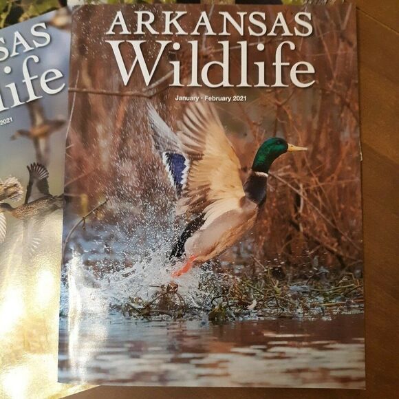 Lot of 5 Arkansas Wildlife Magazine 2021 Whole year - Picture 2 of 6